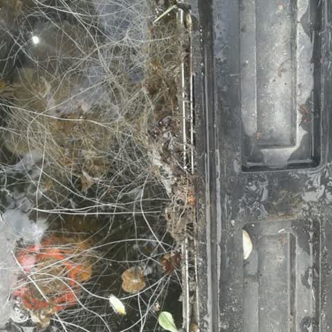 Wastewater/Stormwater, a report photo
