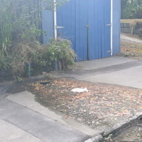 Water Supply, a report photo