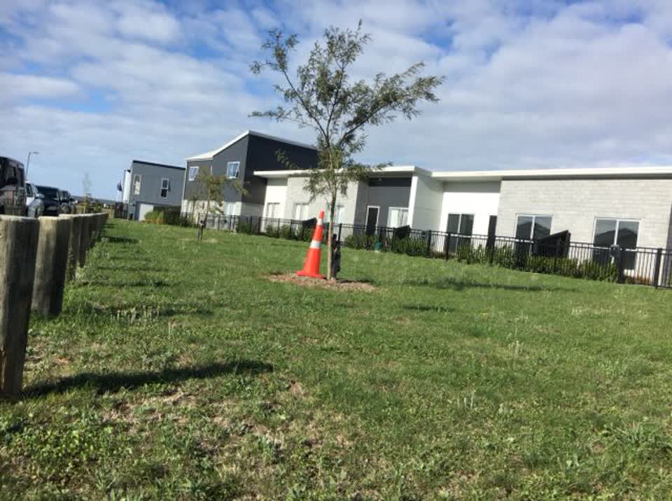 The photograph attached to this parks report