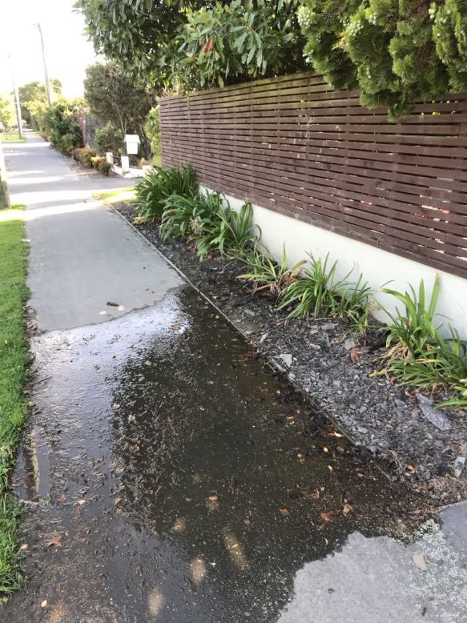 The photograph attached to this water supply report