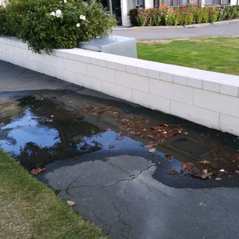 Water Supply, a report photo