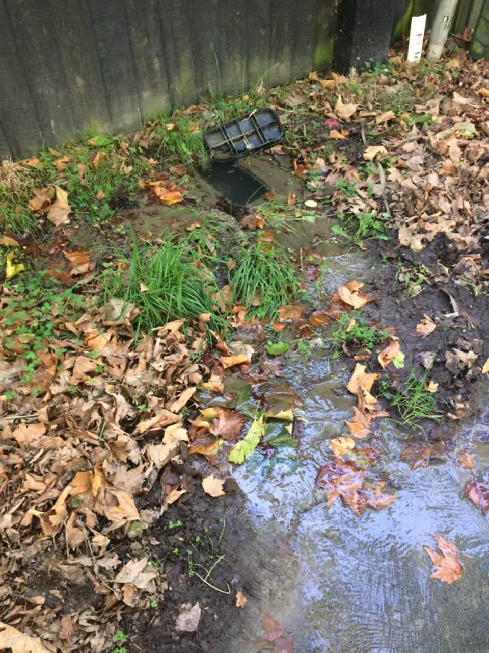 The photograph attached to this water supply report