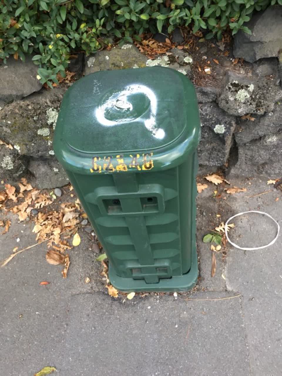 The photograph attached to this graffiti report