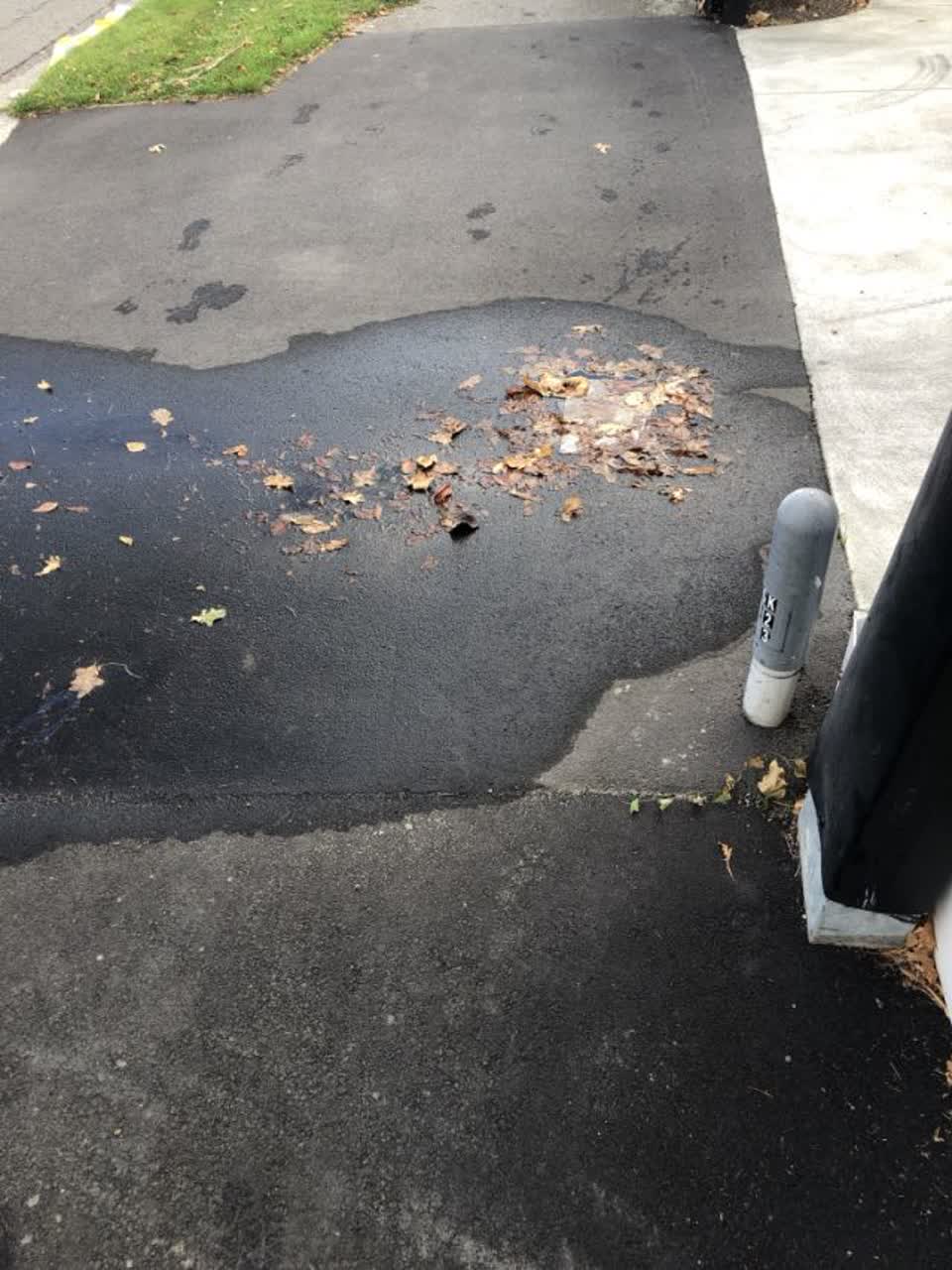 The photograph attached to this water supply report