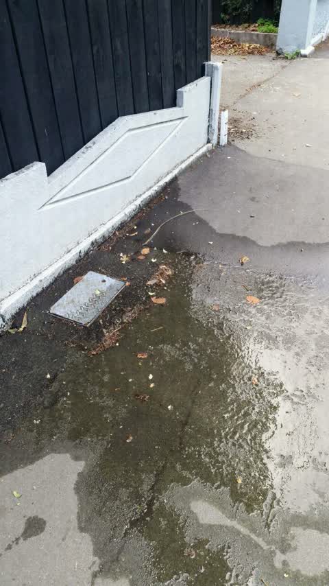 Water Supply, a report photo