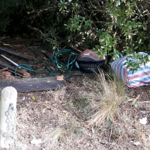 Parks, a report photo