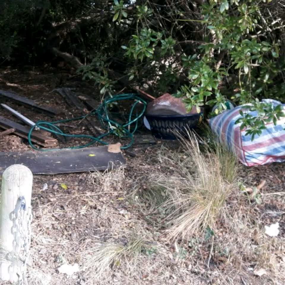 The photograph attached to this parks report