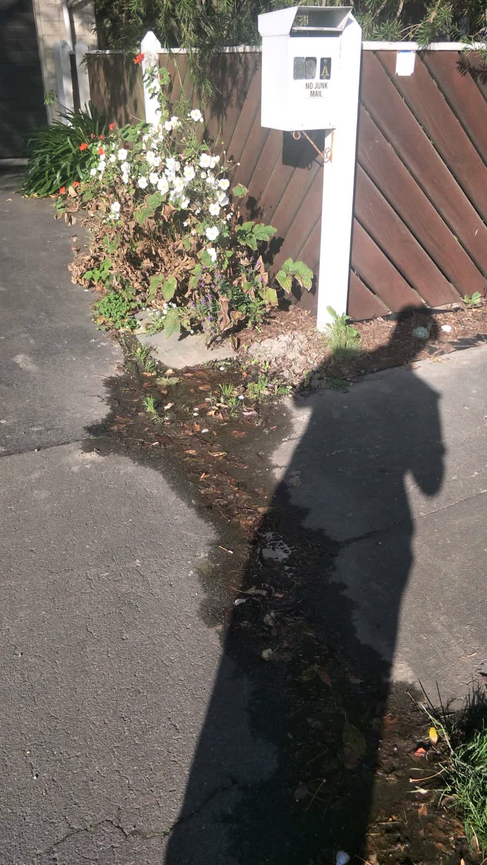 The photograph attached to this water supply report