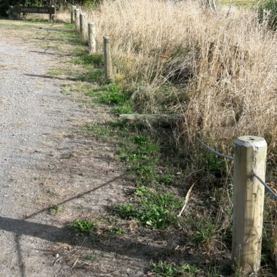 The photograph attached to this parks report