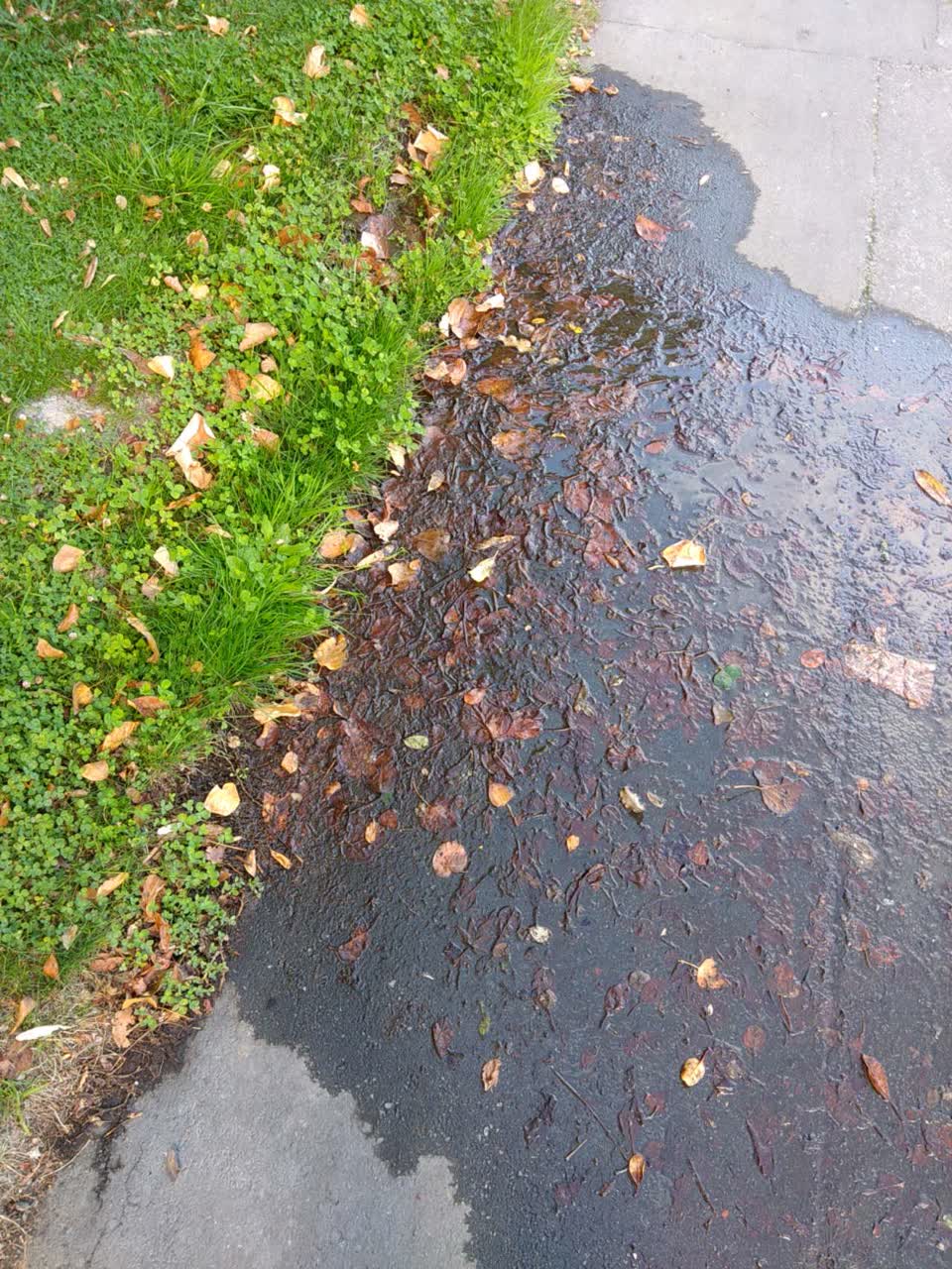 The photograph attached to this water supply report