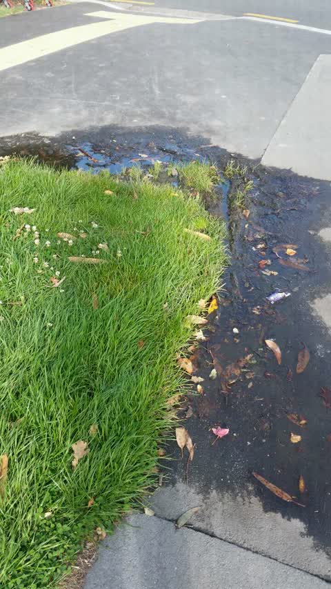 Wastewater/Stormwater, a report photo