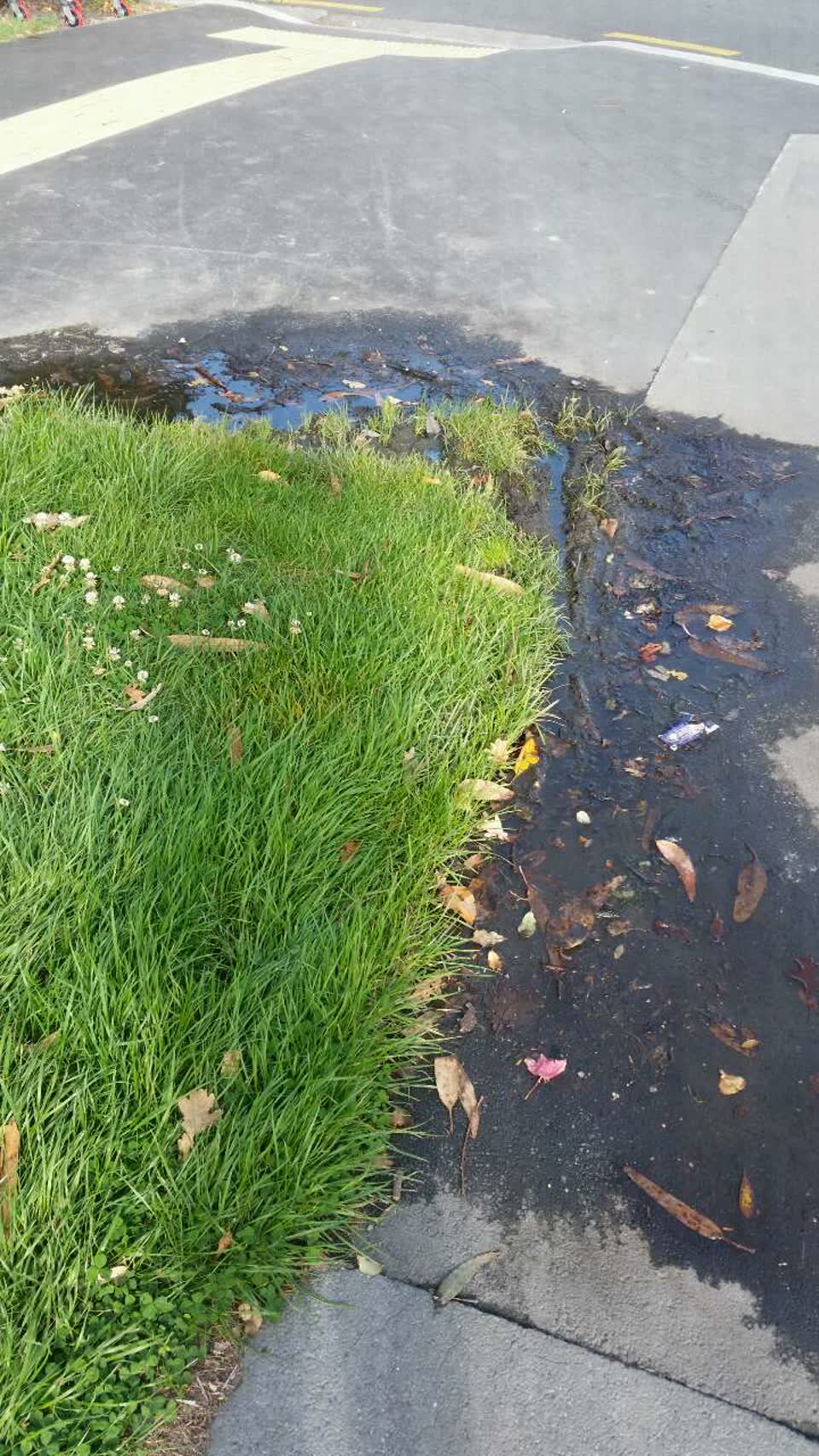 The photograph attached to this wastewater/stormwater report