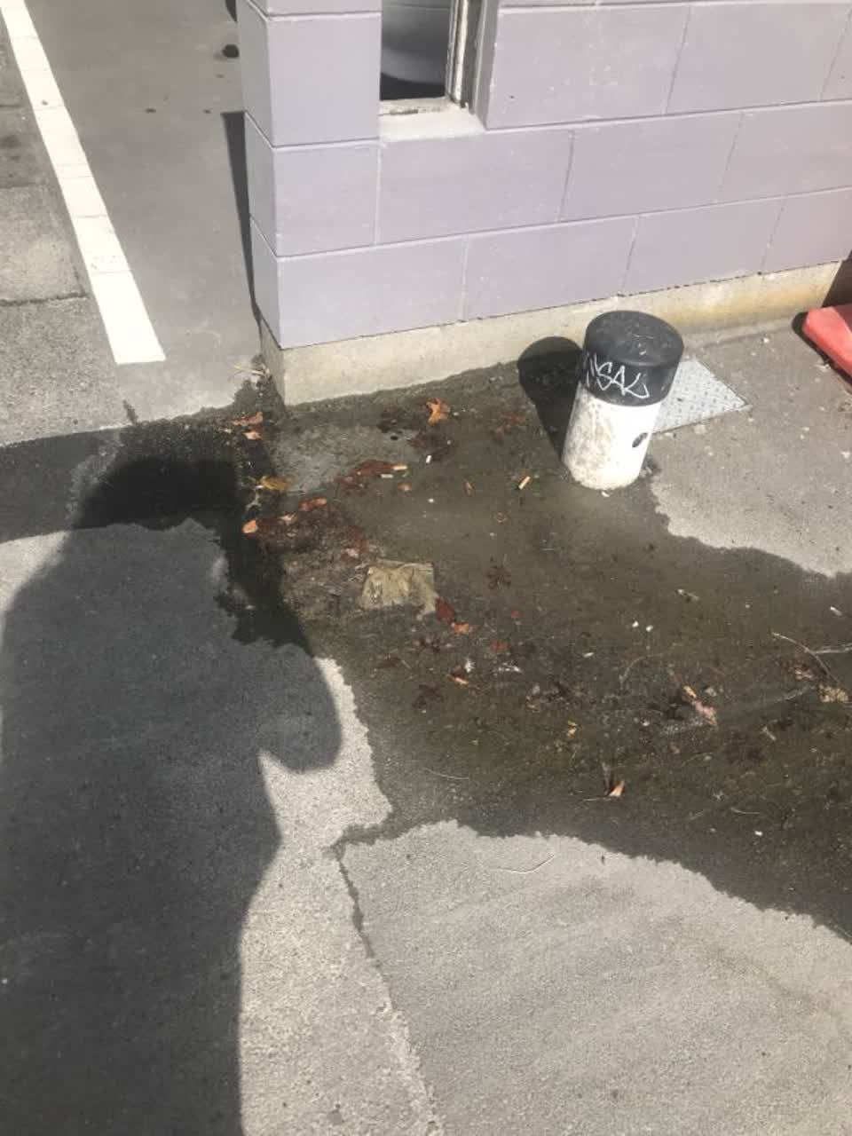 The photograph attached to this wastewater/stormwater report