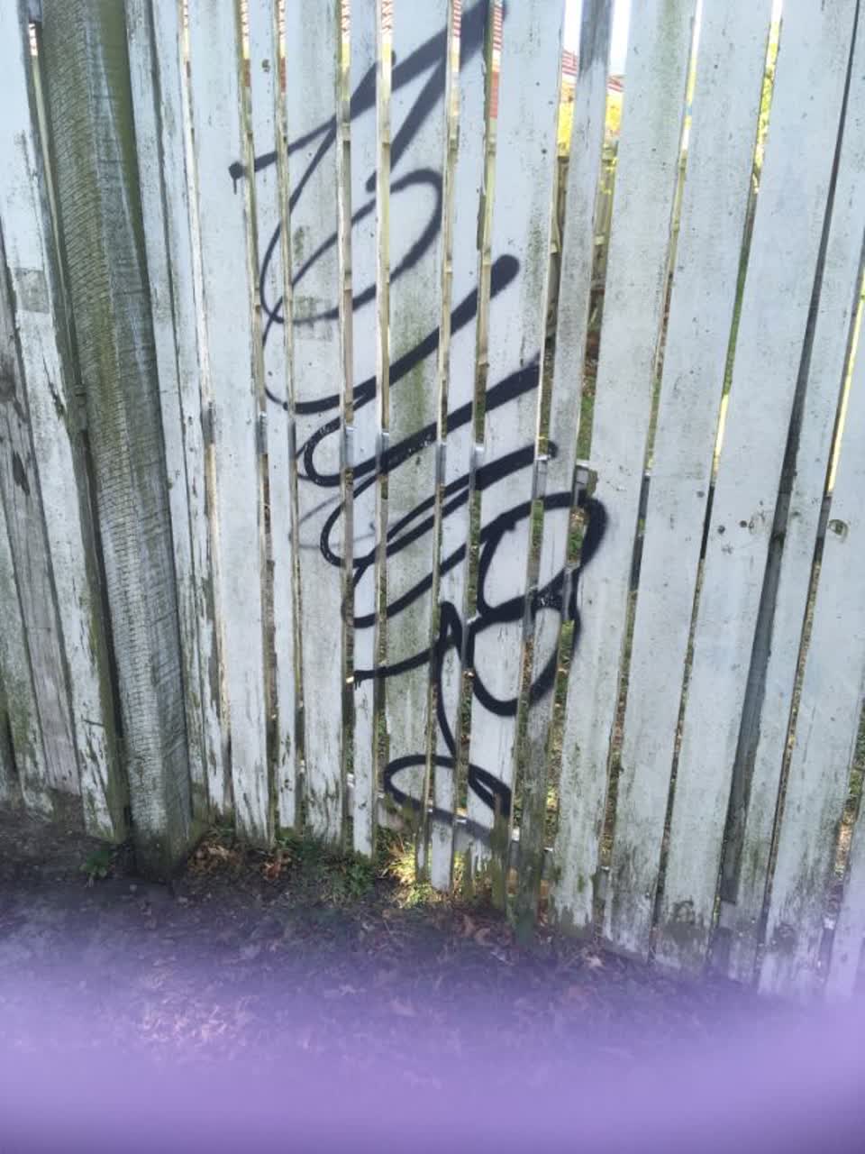 The photograph attached to this graffiti report