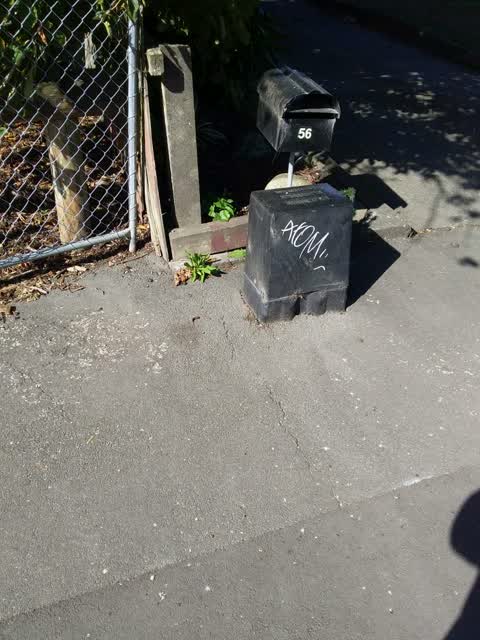 Graffiti, a report photo