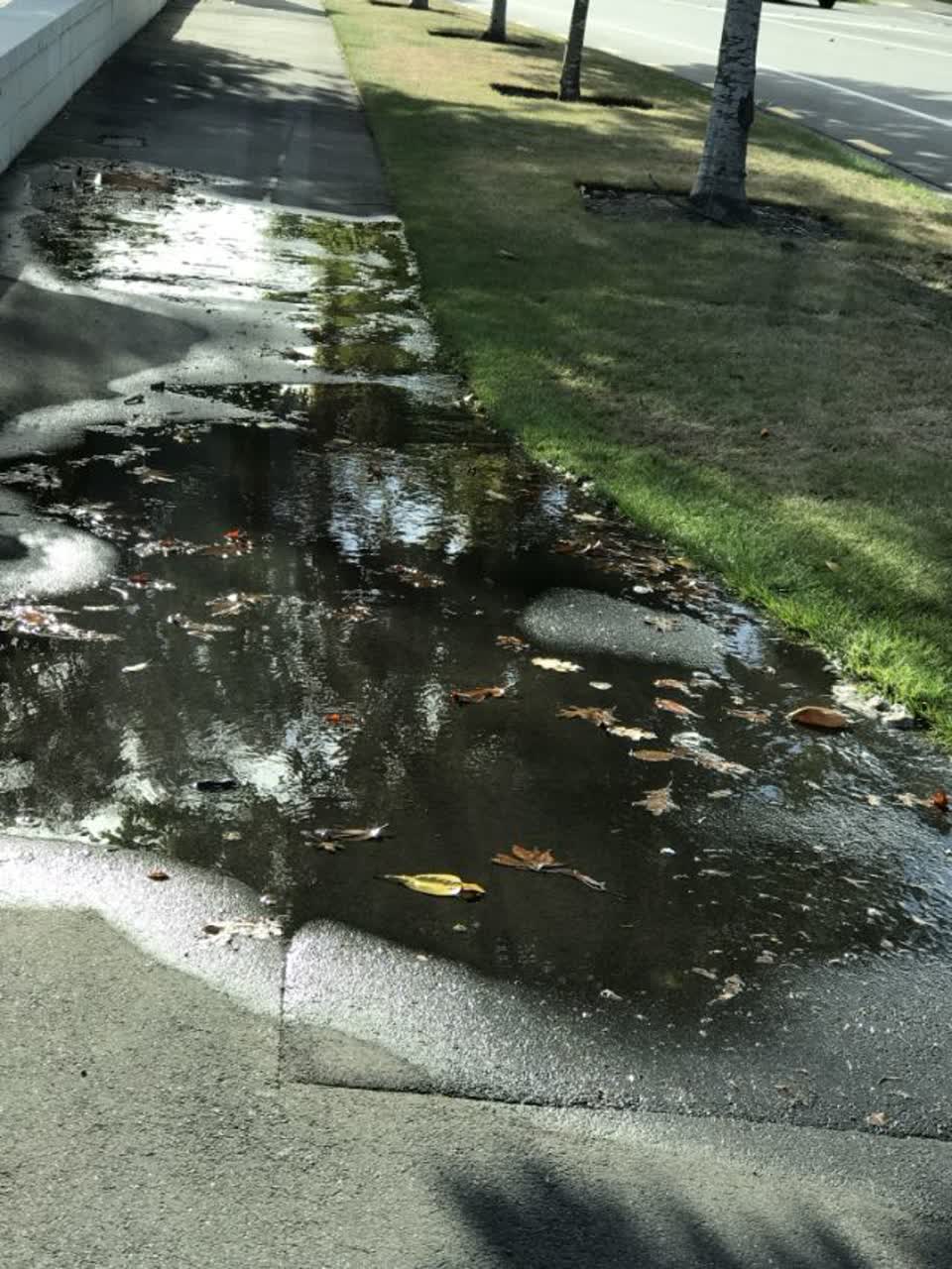 The photograph attached to this wastewater/stormwater report