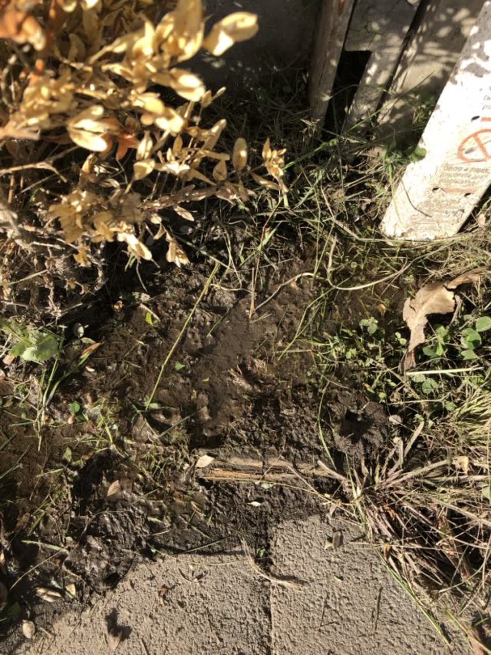 The photograph attached to this water supply report