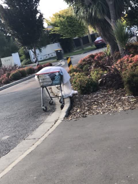 Rubbish/Recycling, a report photo