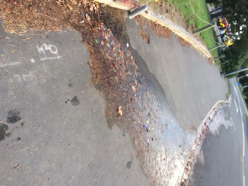The photograph attached to this water supply report