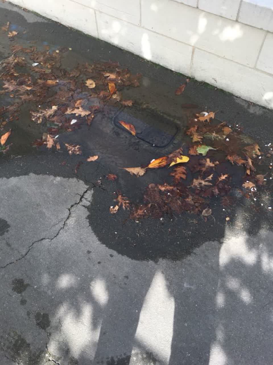 The photograph attached to this water supply report