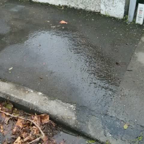 Water Supply, a report photo
