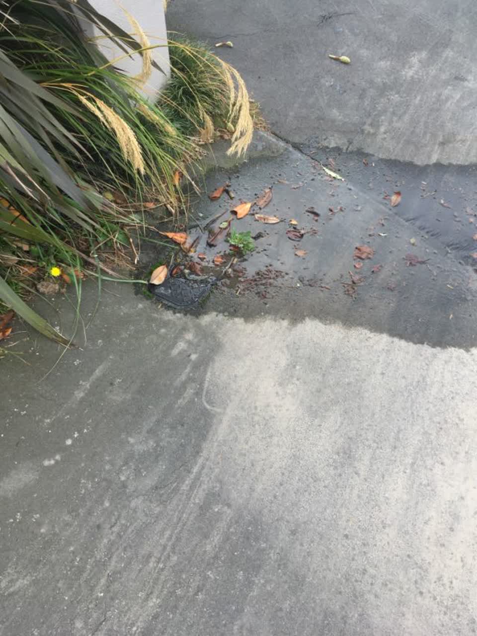 The photograph attached to this water supply report