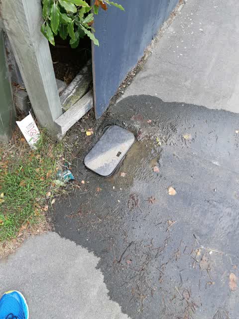 Roading/Streets — a report photo