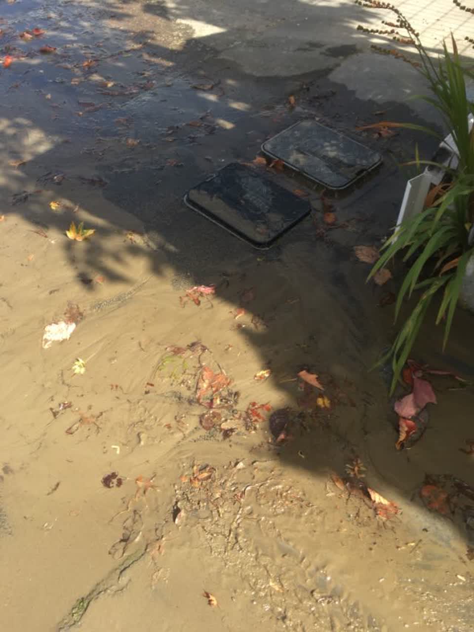 The photograph attached to this water supply report