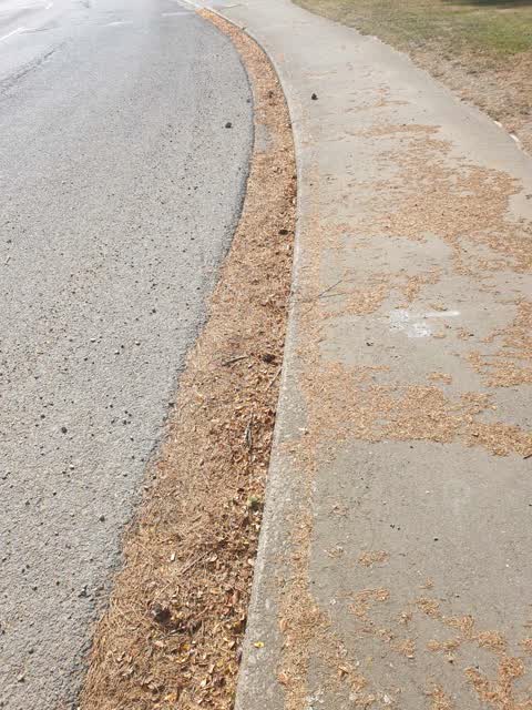 Roading/Streets, a report photo