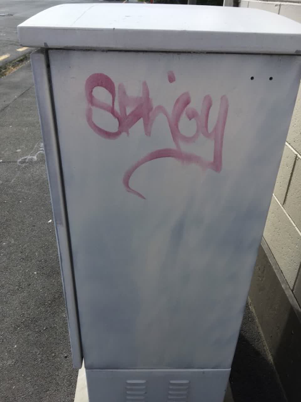 The photograph attached to this graffiti report