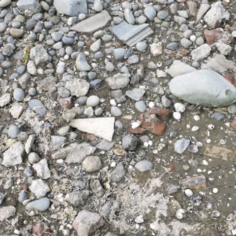 Rubbish/Recycling, a report photo