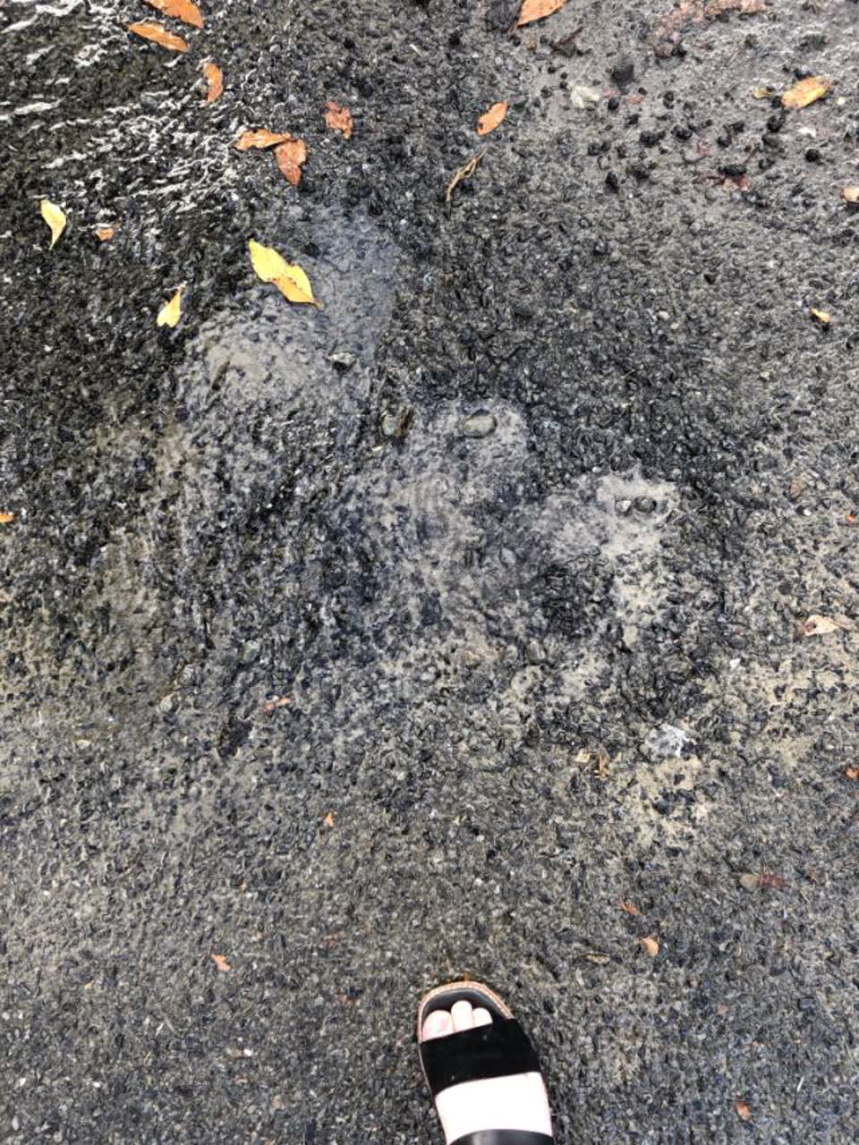 The photograph attached to this water supply report