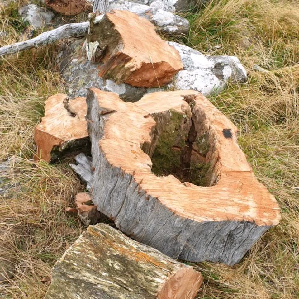 The photograph attached to this parks report