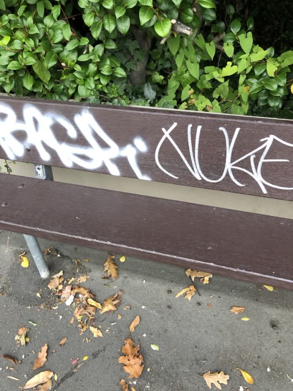 The photograph attached to this graffiti report