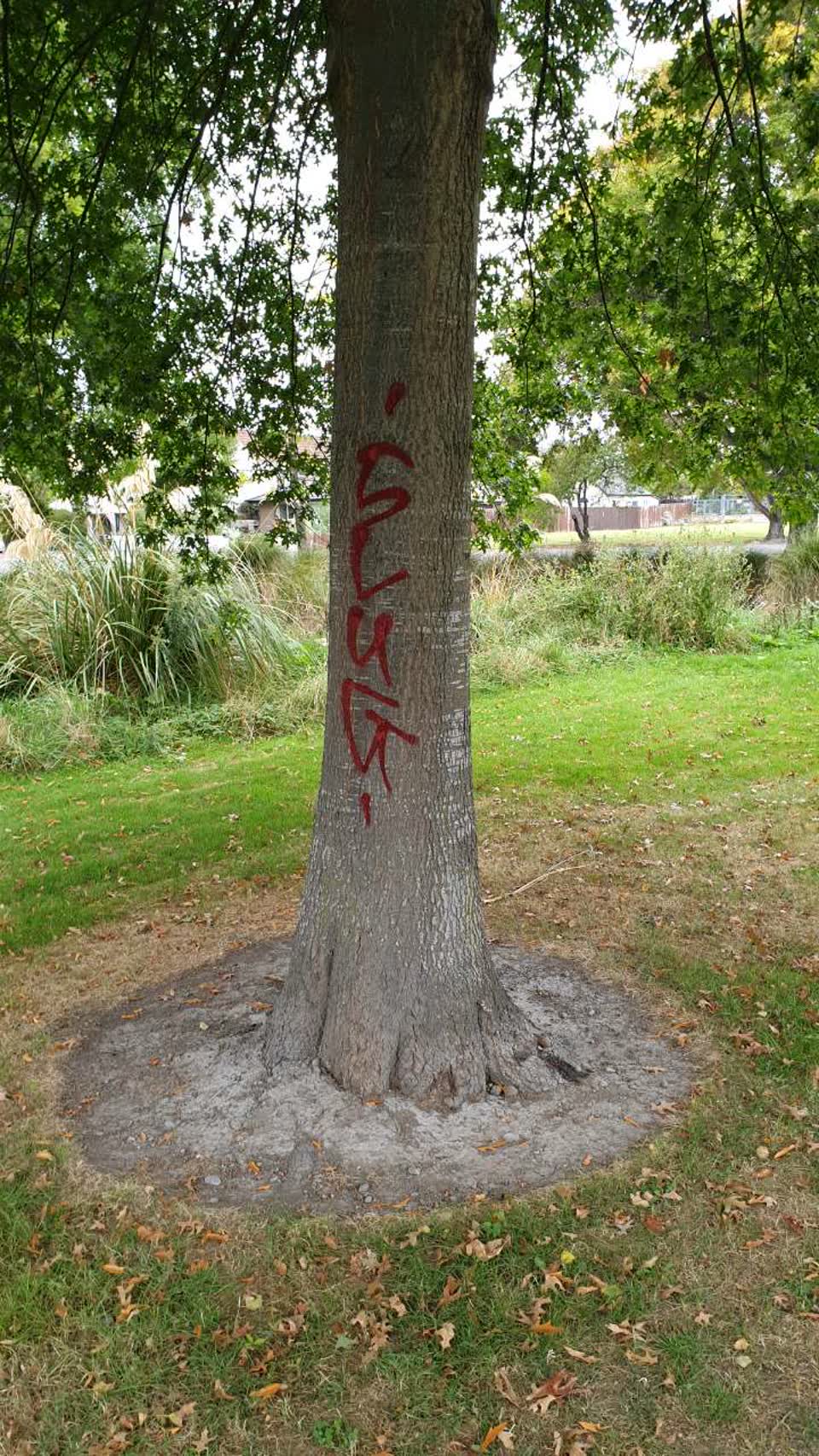 The photograph attached to this graffiti report