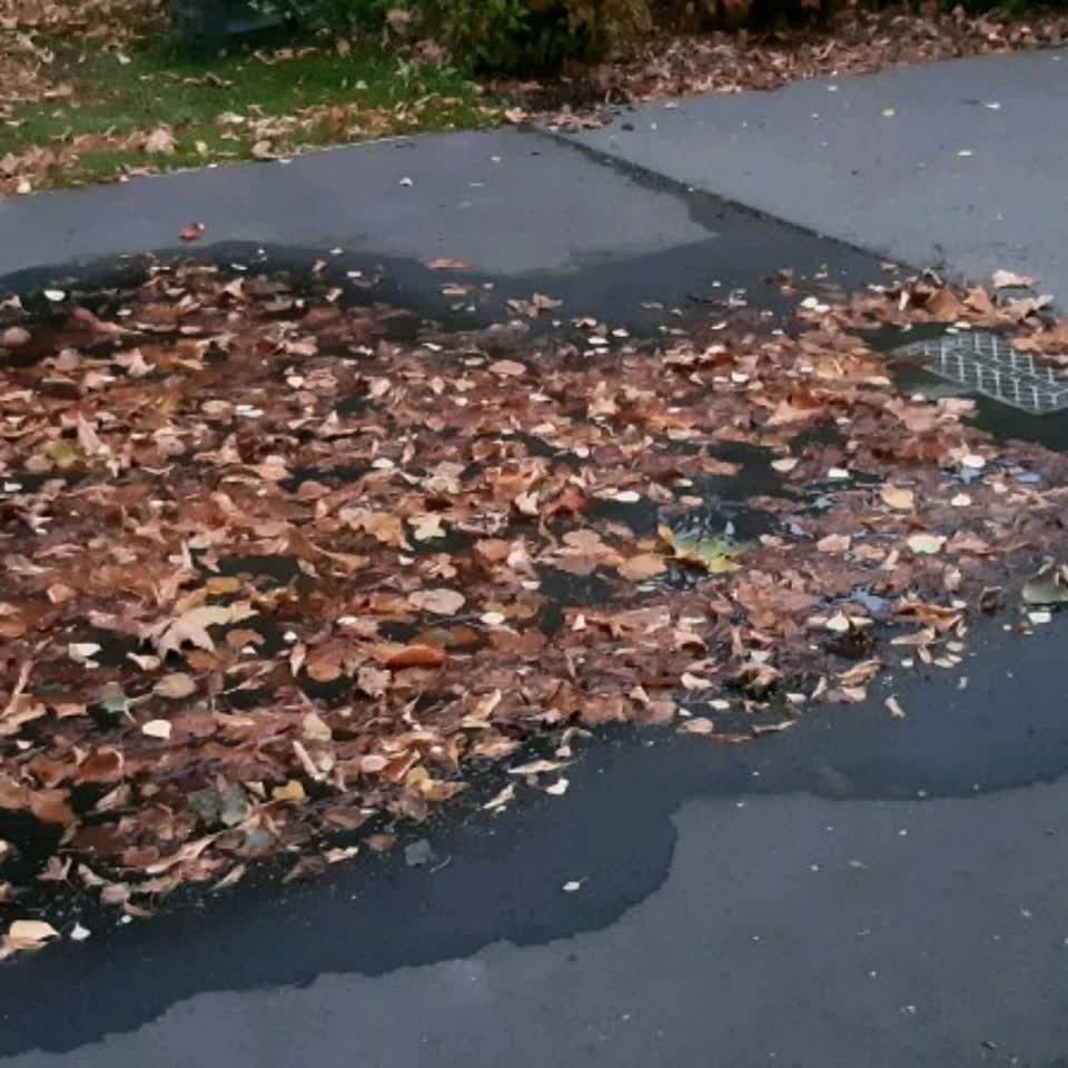 The photograph attached to this water supply report
