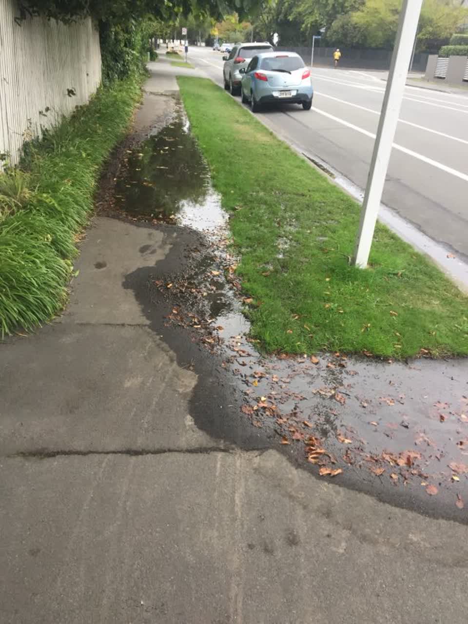 The photograph attached to this water supply report