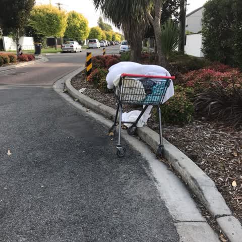 Rubbish/Recycling, a report photo