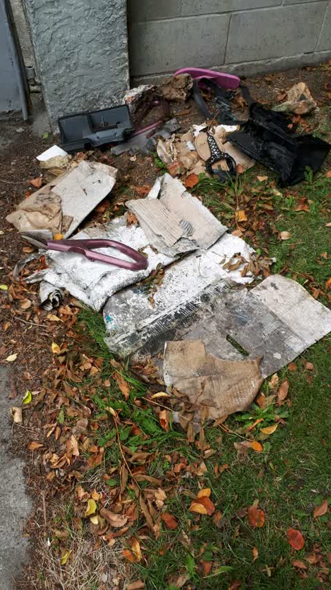 Rubbish/Recycling, a report photo