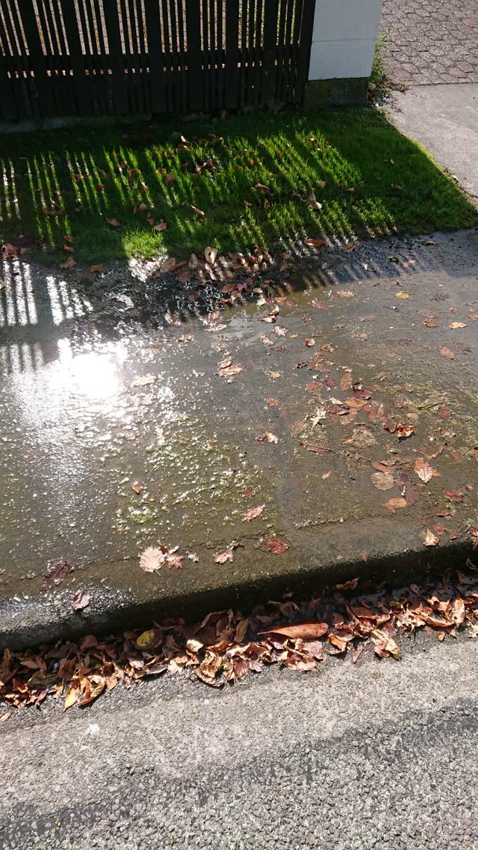The photograph attached to this water supply report