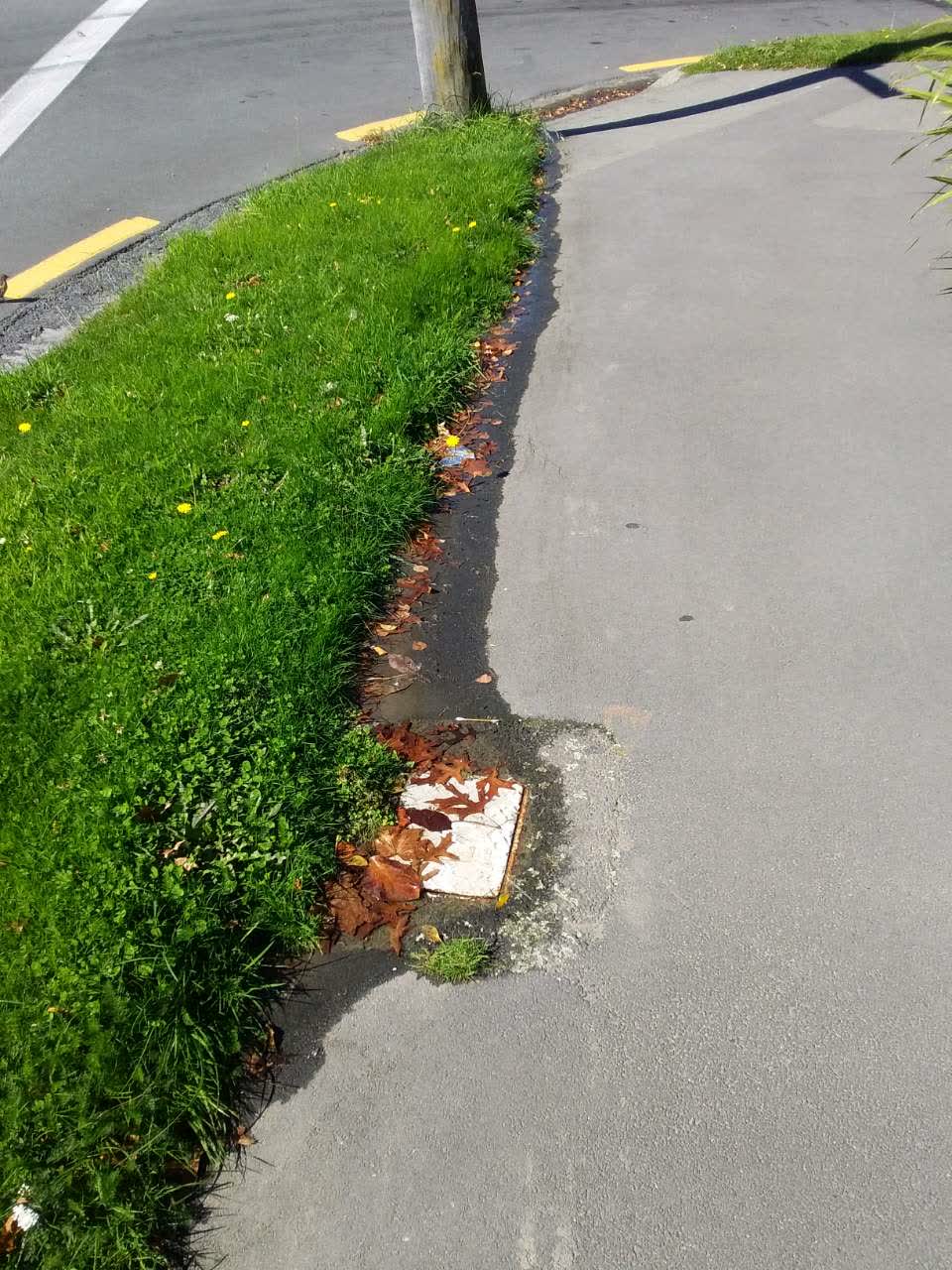 The photograph attached to this water supply report
