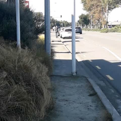 Roading/Streets, a report photo