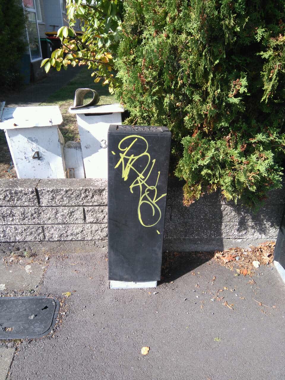 The photograph attached to this graffiti report