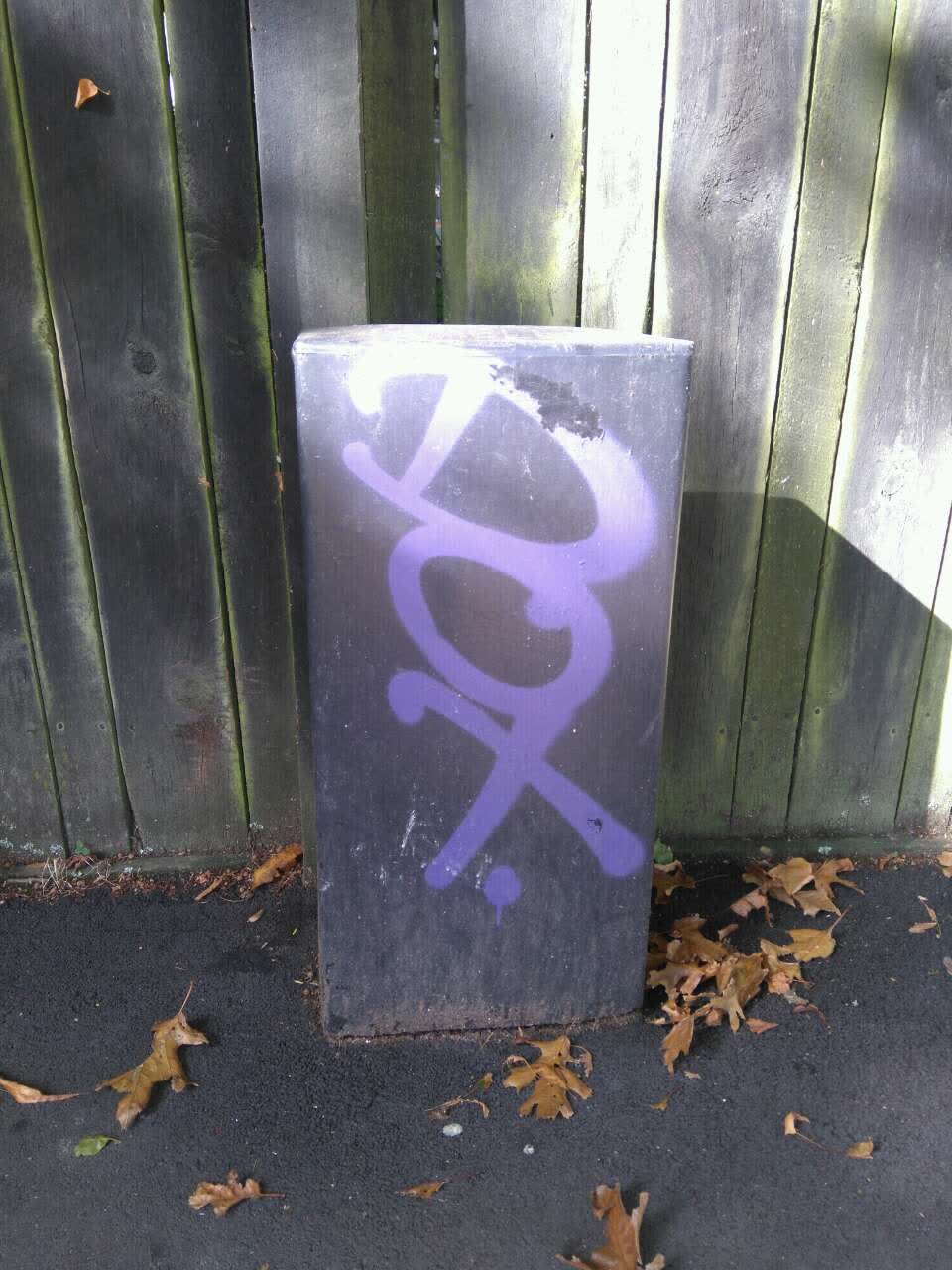 The photograph attached to this graffiti report