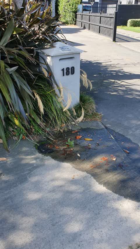 Water Supply, a report photo