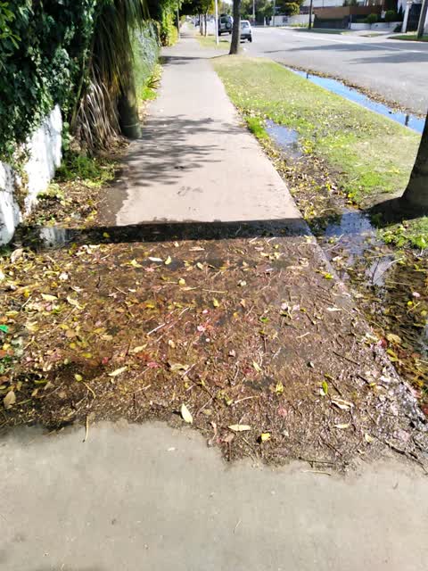 Water Supply, a report photo