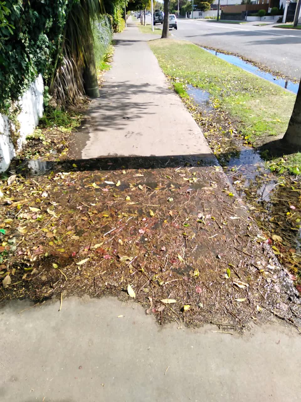 The photograph attached to this water supply report
