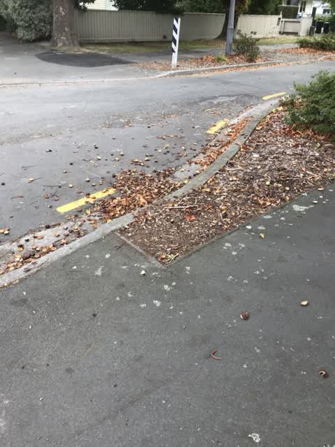 Roading/Streets, a report photo