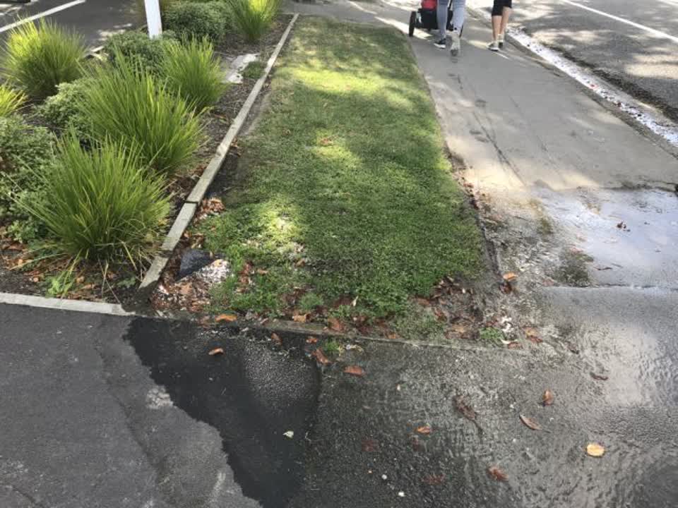 The photograph attached to this water supply report