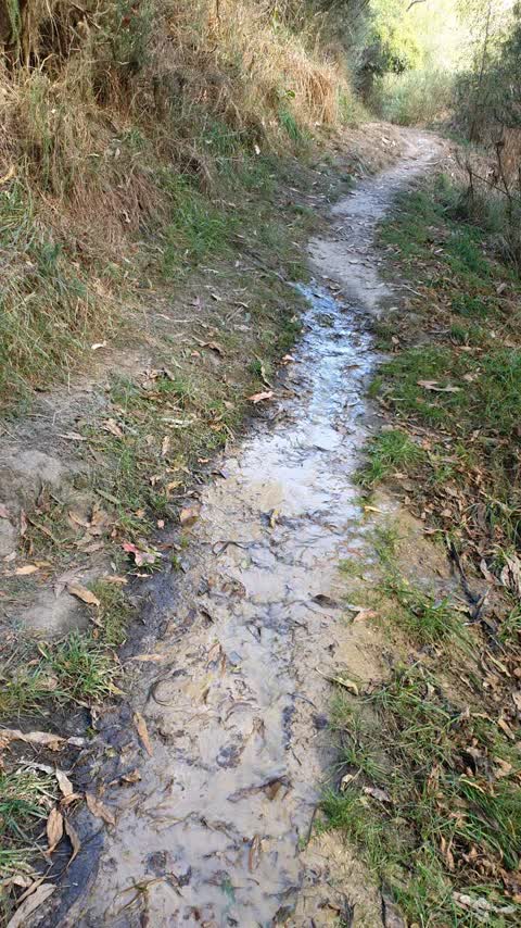 Water Supply, a report photo